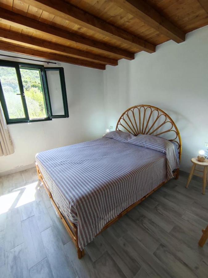 Villa Ulivella Schifoni Exterior foto