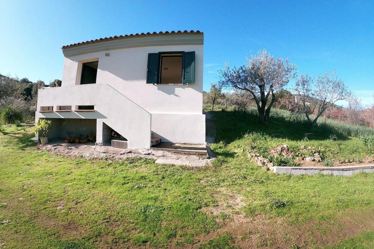 Villa Ulivella Schifoni Exterior foto